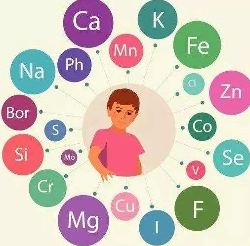 成人午夜福利视频厂家提醒补充微量元素的注意事项